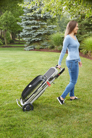 Газовый гриль Weber Traveler 