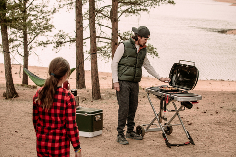 Газовый гриль Weber Traveler 