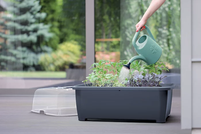 Кашпо-теплица RESPANA PLANTER SET 