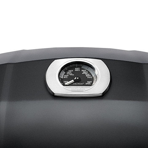 Газовый гриль Napoleon TRAVELQ PRO-285