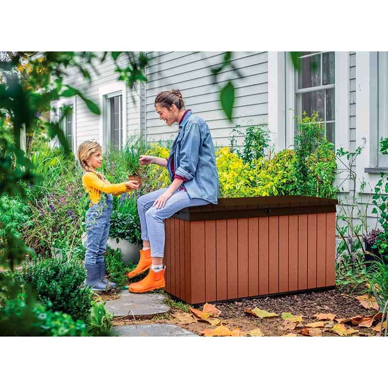 Сундук Darwin Box 570L