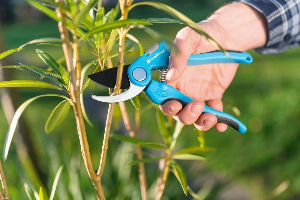 Секатор IDEAL