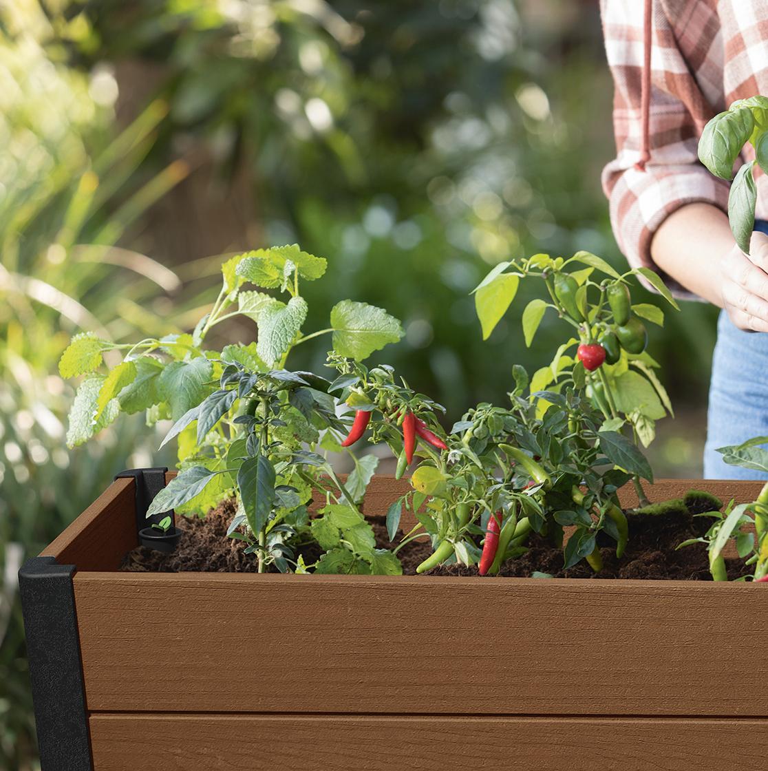Грядка для растений DARWIN ELEVATED GARDEN BED PRO
