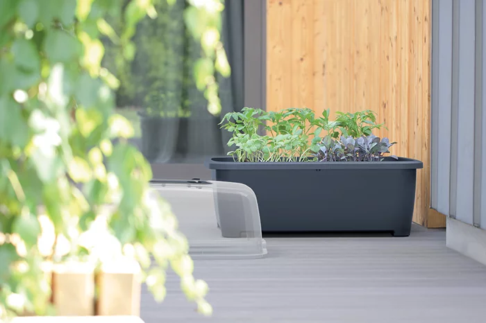 Кашпо-теплица RESPANA PLANTER SET 