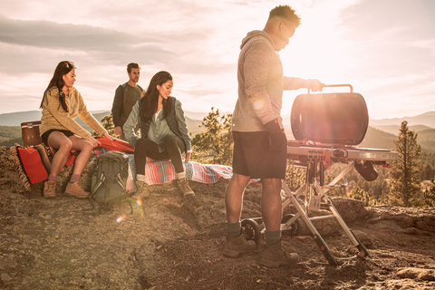 Газовый гриль Weber Traveler 