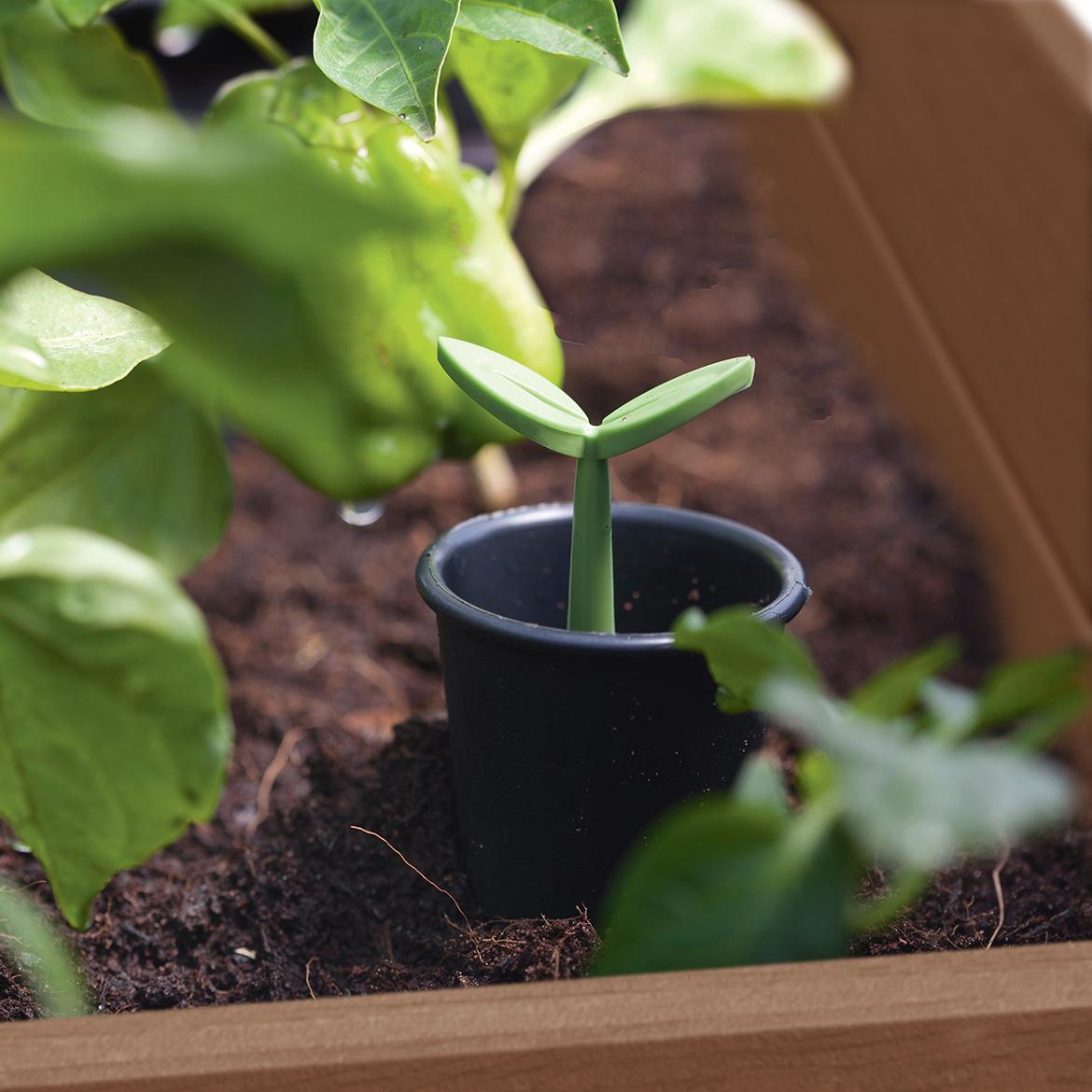Грядка для растений DARWIN ELEVATED GARDEN BED PRO