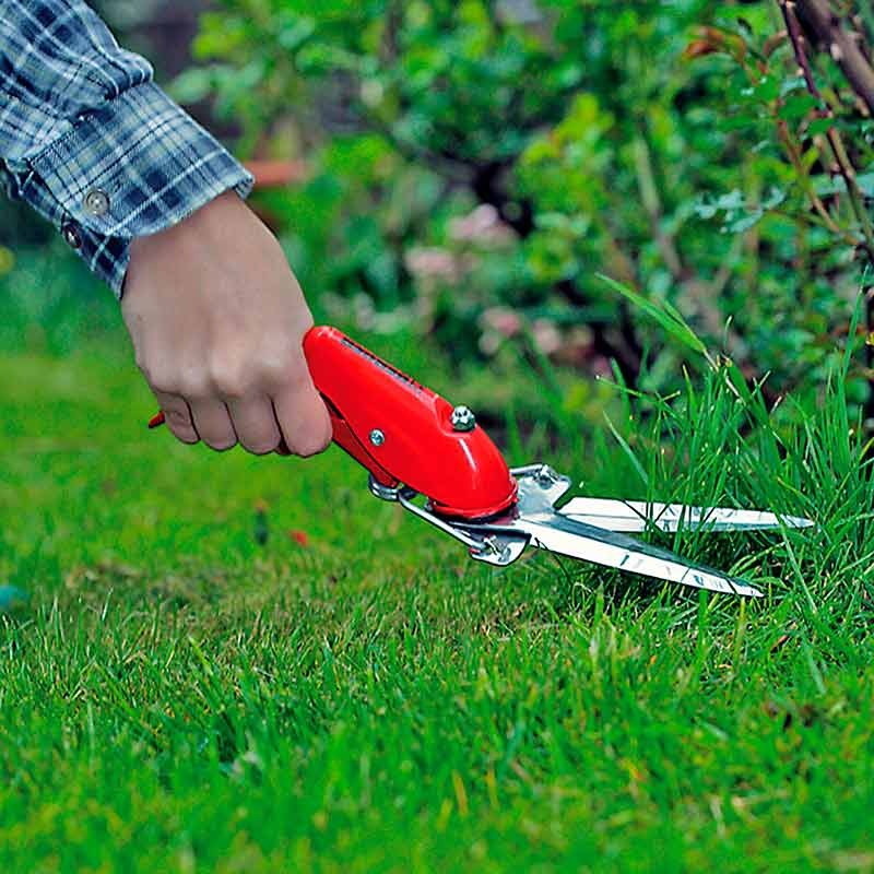 Ножницы для подравнивания газона