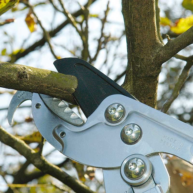 Сучкорез серия Профессионал двухрычажный