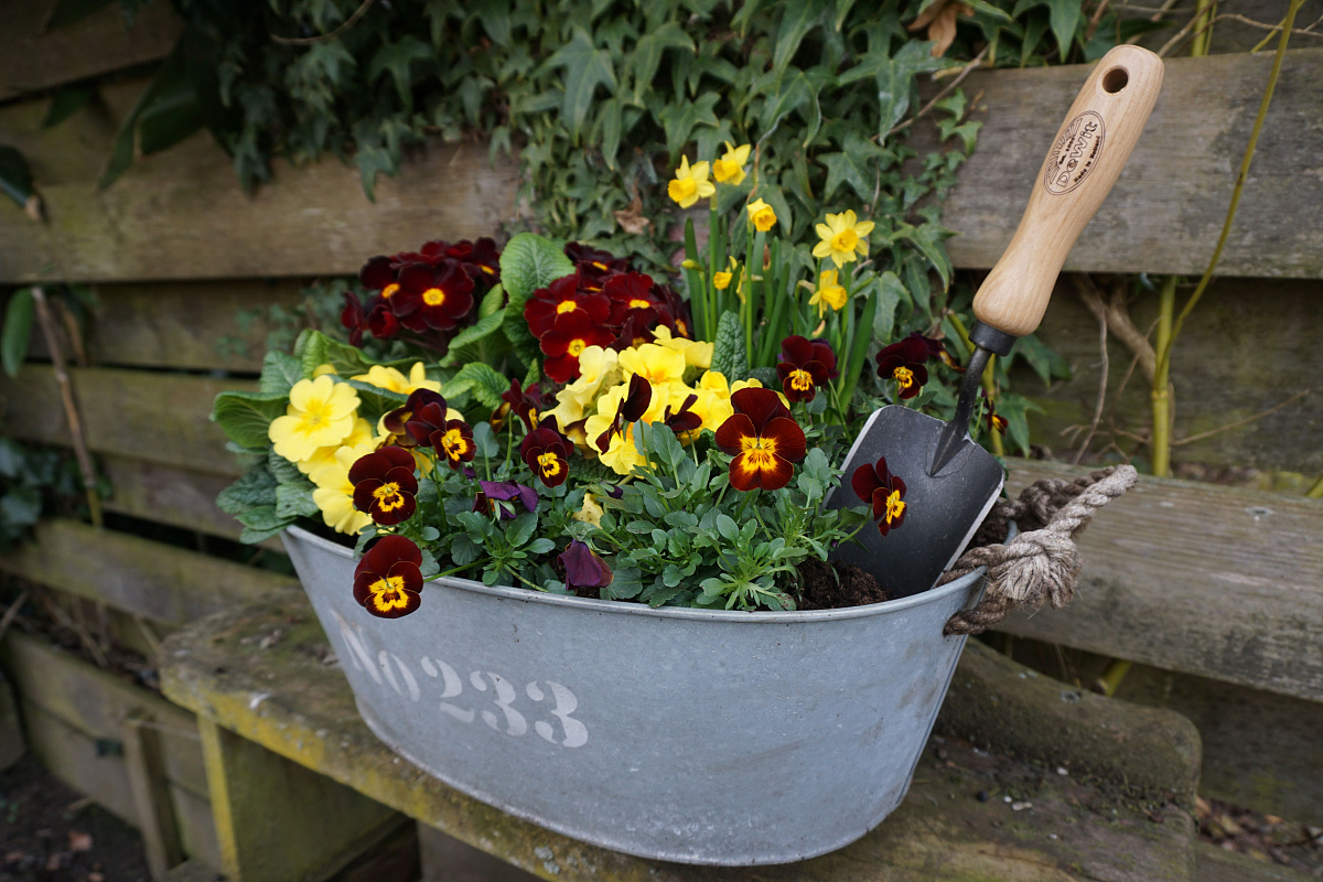 Совок садовый, посадочный, с кованым полотном