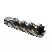 Корончатое сверло, универсальный хвостовик, HSS, Lap50 мм Garwin Industrial  