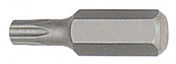 BTX33060 Бита 10 мм Torx T60 30 мм Licota  BTX33060