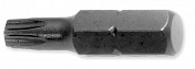 S3TX102540 Бита усиленная 1/4" torx T40 25 мм Licota  S3TX102540 1