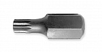 Бита 8 мм Spline M6