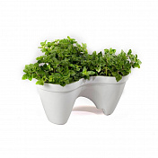 Кашпо Ivy Planter 1