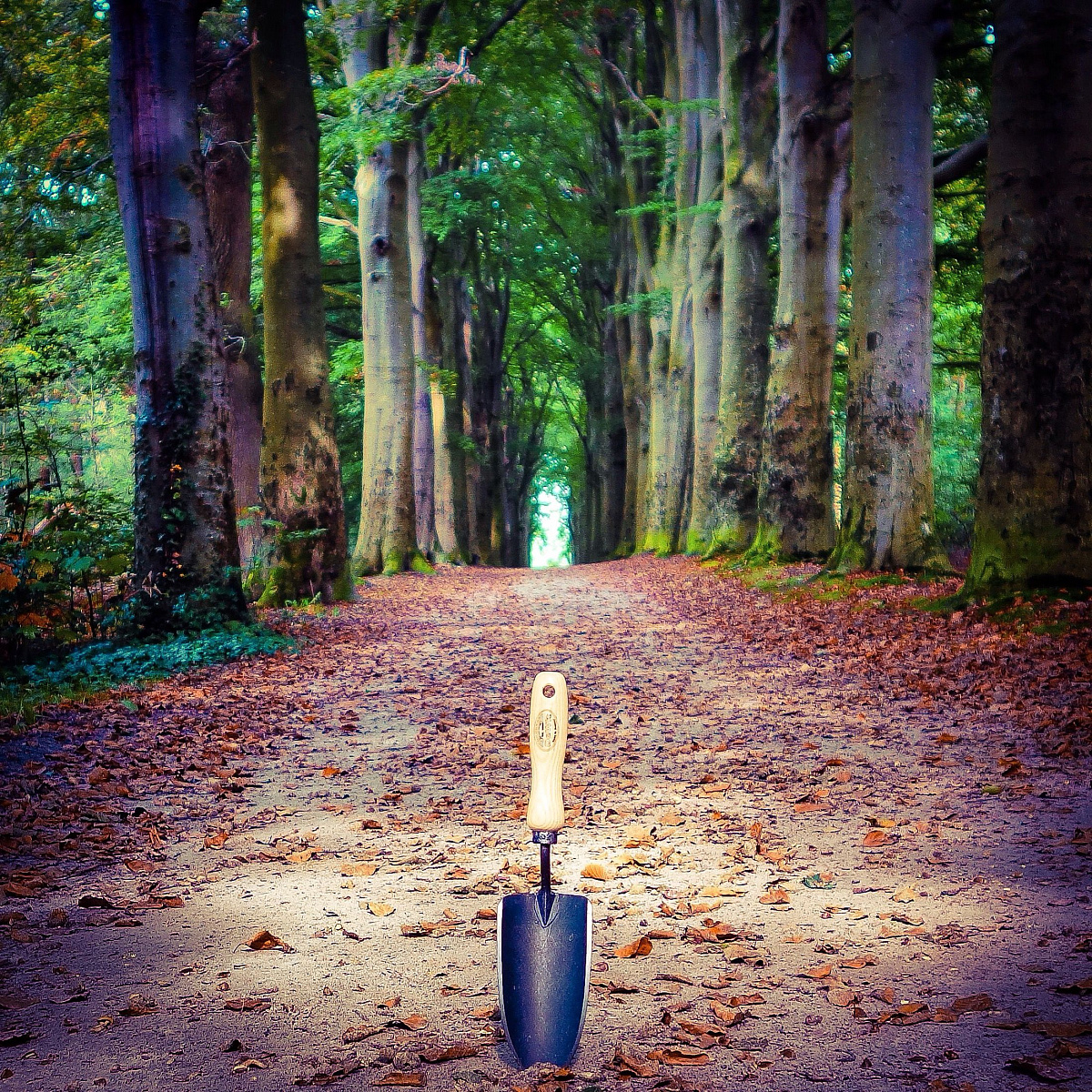 Совок садовый, посадочный, с кованым полотном