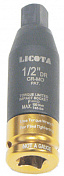 Ограничитель крутящего момента 100Нм Licota  PAW-TL4-4