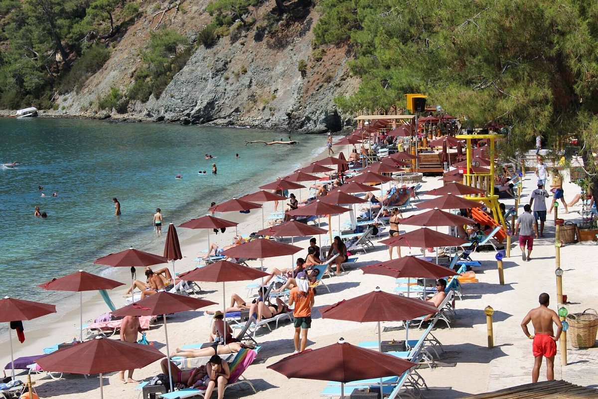 Зонт пляжный профессиональный Kiwi Clips