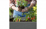 Грядка для растений DARWIN ELEVATED GARDEN BED PRO