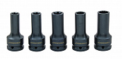Набор торцевых головок 3/4"DR  E18 / E20 / E24 / 17 мм/19 мм 12-гр. Для болтов ГБЦ MAN   AN040264