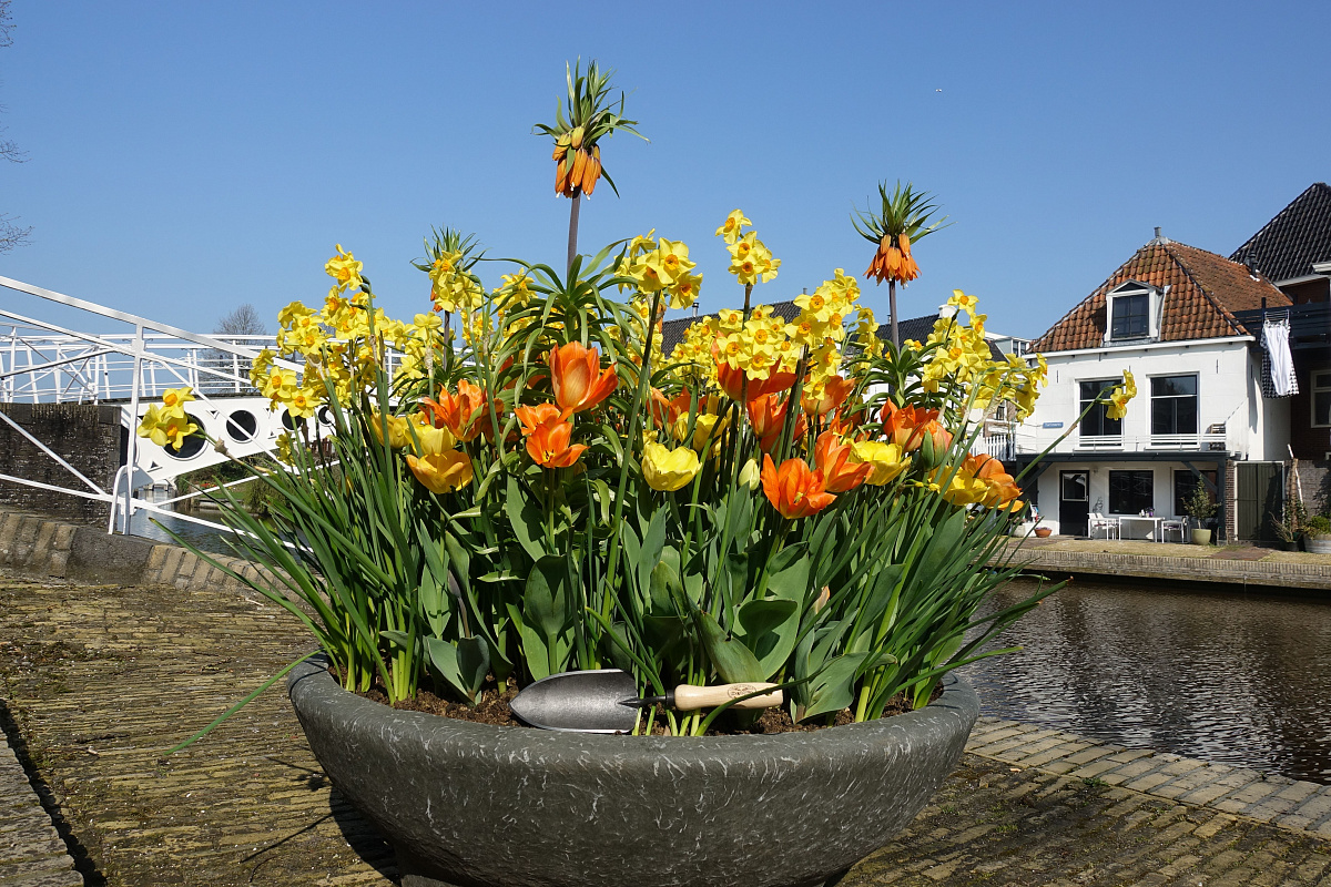 Совок садовый, посадочный, с кованым полотном