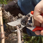 Секатор FELCO 8 1