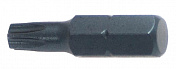 S3TX102527 Бита усиленная 1/4" torx T27 25 мм Licota  S3TX102527 1