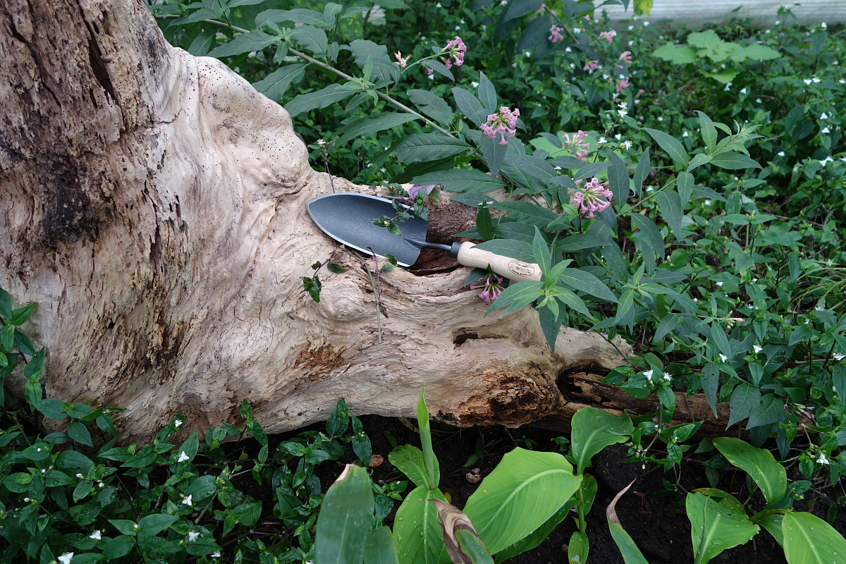 Совок садовый, посадочный, с кованым полотном