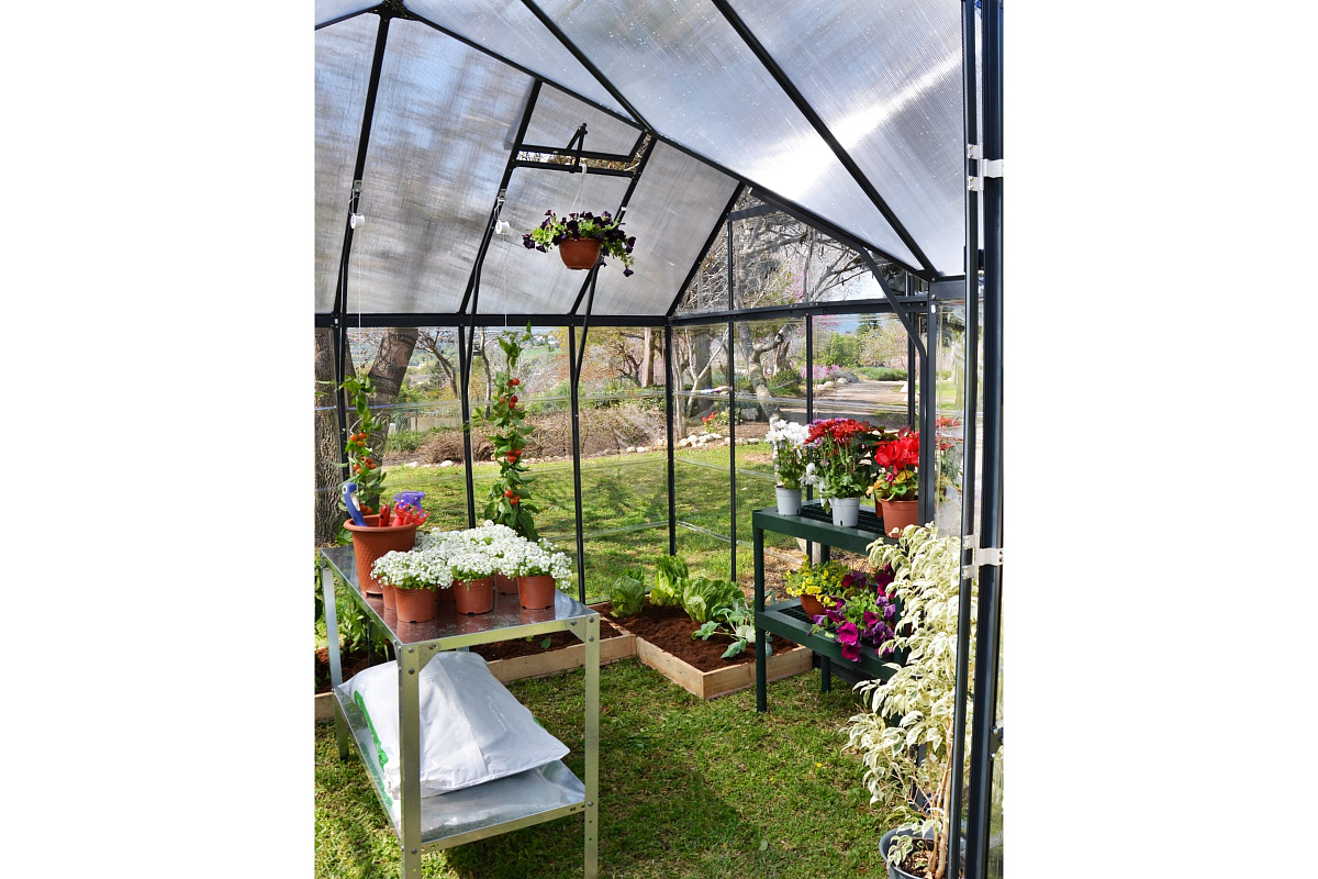 Теплица с прозрачным остеклением Palram VICTORY ORANGERY GARDEN CHALET