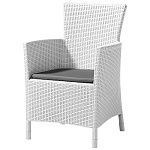 Кресло для дачи Iowa Montana