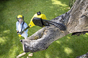 Аккумуляторная цепная пила PSW 18-20 BATTERY Karcher  1.444-010.0  3