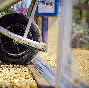 Теплица Palram – Canopia Balance 8x12 7