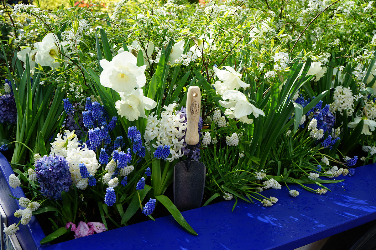 Совок садовый, посадочный, с кованым полотном