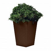 Кашпо под ротанг SMALL RATTAN PLANTER 23.6L  Keter  17192300  1