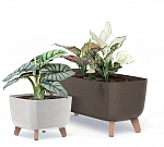 Цветочный горшок Gracia Case ECO Wood