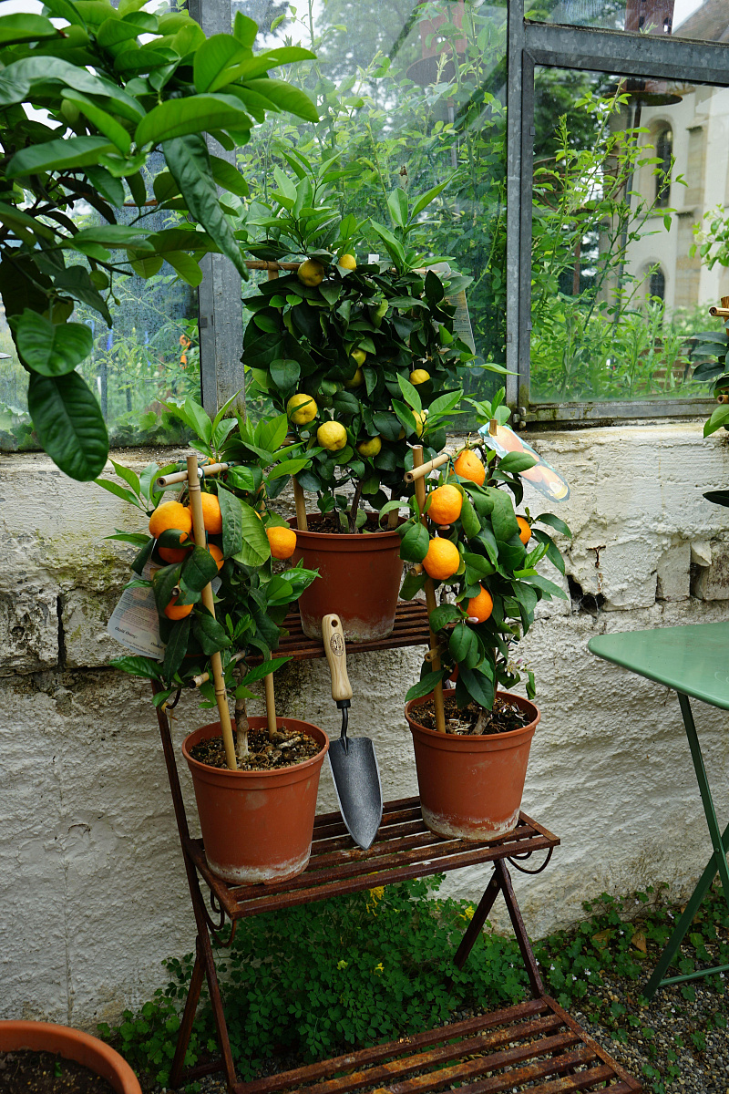 Совок садовый, посадочный, с кованым полотном