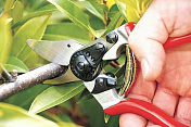 Секатор FELCO 6 1