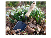 Совок садовый, посадочный, с кованым полотном DeWit  3000  13