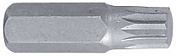 Вставка (бита) торцевая 10 мм, SPLINE, М10, L = 36 мм  King Tony  163610M